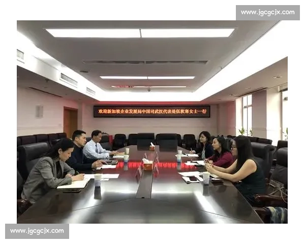 新加坡对阵印尼区域竞争格局与合作前景深度解析东南亚政治经济影响