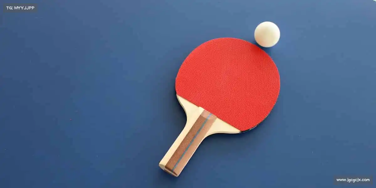 <strong>zoty中欧体育</strong>🏓小球转动大梦想，每一拍都是新开始！